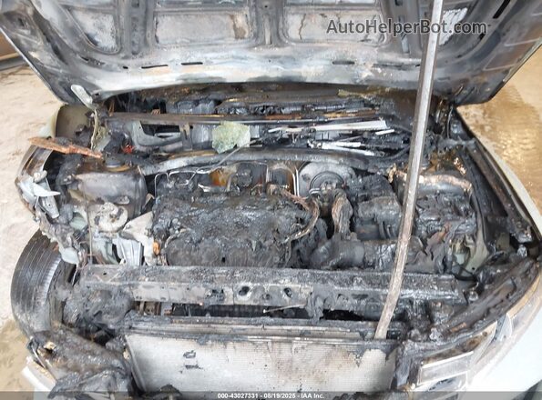 5NTJBDAEXPH068918 2023 HYUNDAI SANTA CRUZ Green Հետևի տեսք