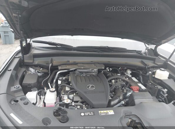 5TDAAAA63RS006136 2024 LEXUS TX Синий Вид сзади
