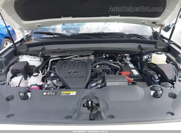 5TDAAAB64SS028411 2025 LEXUS TX White Widok z tyłu