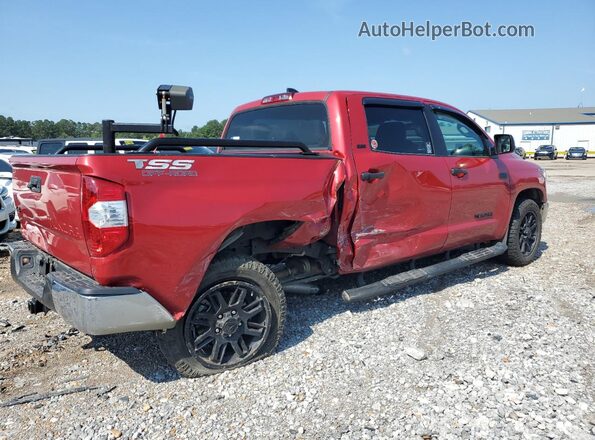 5TFDY5F16MX019916 2021 TOYOTA TUNDRA Red Tył prawy