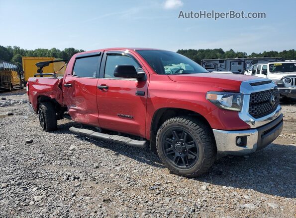 5TFDY5F16MX019916 2021 TOYOTA TUNDRA Red Przód prawy