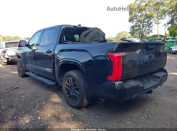 5TFLA5DB1PX096189 2023 TOYOTA TUNDRA Черный Панорамный вид салона 360°