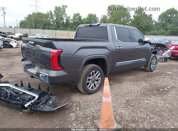 5TFMA5DB4PX127231 2023 TOYOTA TUNDRA Серый Задняя правая четверть