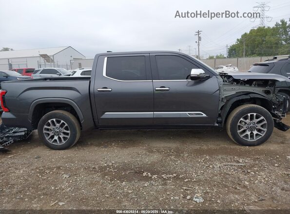 5TFMA5DB4PX127231 2023 TOYOTA TUNDRA Серый Панорамный вид салона 360°