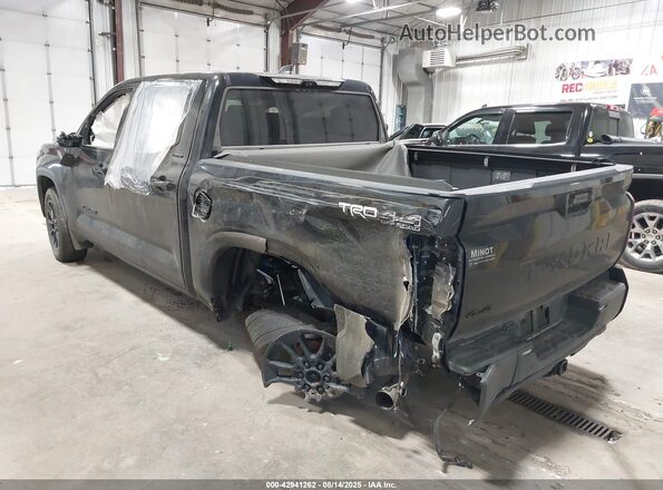 5TFWC5DB1RX071321 2024 TOYOTA LIMITED Черный Задняя левая четверть