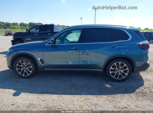 5UX23EU00R9V78243 2024 BMW X5 Teal Панорамний вид салону 360°