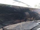2026 Bmw X6 Xdrive40i Black vin: 5UX33EX00T9117616