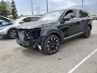 2024 Kia Telluride Sx Black vin: 5XYP54GC4RG467811