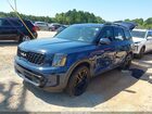 2024 Kia Telluride Sx Prestige X-line Navy vin: 5XYP5DGC7RG440473