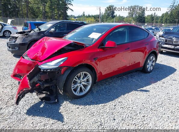 5YJYGDEE1MF196290 2021 TESLA MODEL Y Red Передня ліва чверть