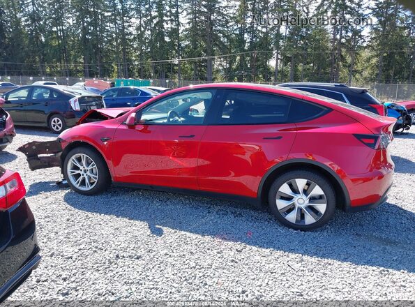 5YJYGDEE1MF196290 2021 TESLA MODEL Y Red 