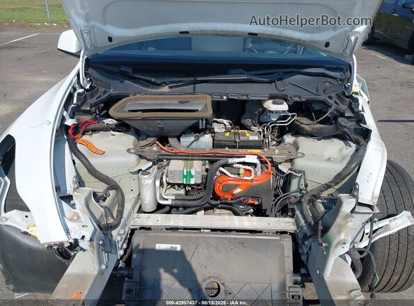 5YJYGDEE8LF044442 2020 TESLA MODEL Y Белый Вид сзади