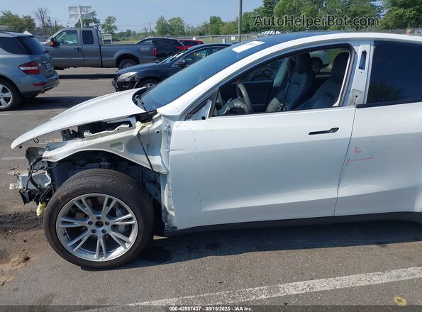 5YJYGDEE8LF044442 2020 TESLA MODEL Y Белый 