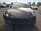2025 Tesla Model Y Black vin: 7SAYGDED0SF320461