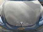2025 Tesla Model Y Black vin: 7SAYGDED0SF320461