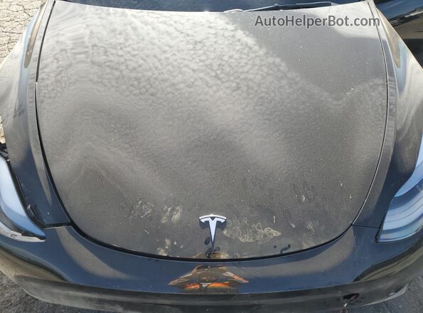 7SAYGDED0SF320461 2025 TESLA MODEL Black Widok wnętrza z tyłu