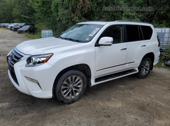 JTJJM7FX7H5168445 2017 LEXUS GX White Tył lewy