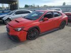 2023 Subaru Wrx Premium Red vin: JF1VBAF68P9817553