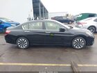 2017 Honda Accord Hybrid Ex-l Black vin: JHMCR6F51HC022672