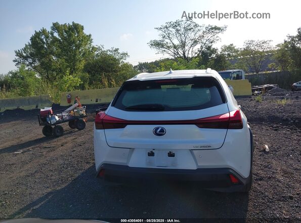 JTHU9JBH0K2010548 2019 LEXUS UX 250H White 