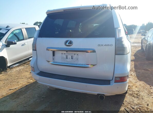 JTJAM7BX3L5257315 2020 LEXUS GX 460 Белый 