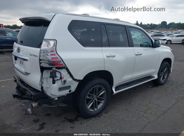 JTJAM7BX4M5296643 2021 LEXUS GX 460 Белый Задняя правая четверть