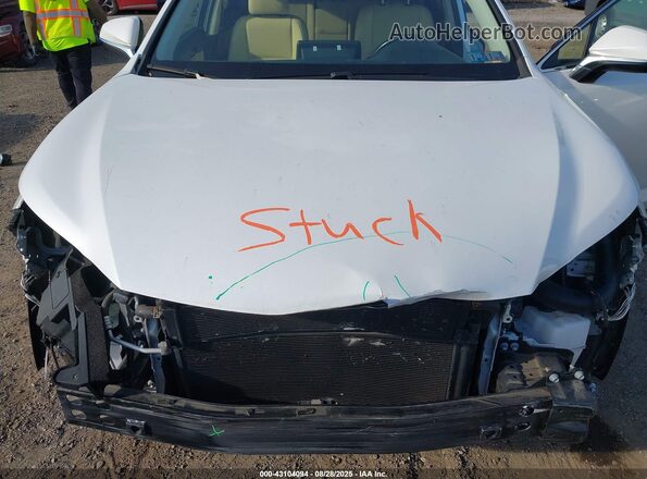 JTJBJRBZ3J2094531 2018 LEXUS NX 300H Белый Вид сзади