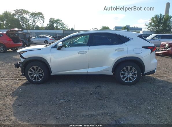 JTJBJRBZ3J2094531 2018 LEXUS NX 300H Белый 