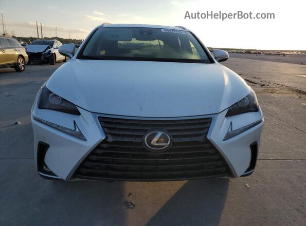JTJDARBZ2L5001024 2020 LEXUS NX White Դիմացի տեսք