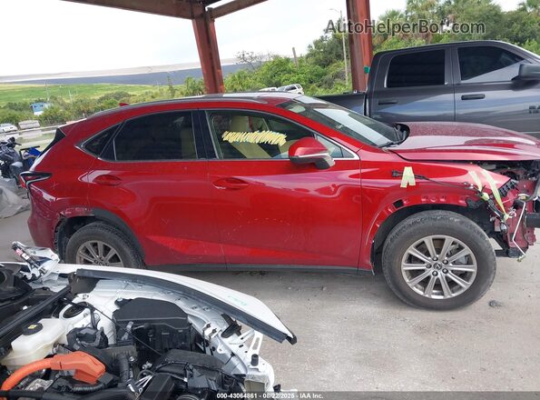 JTJDARBZ2M5031674 2021 LEXUS NX 300 Red Widok wnętrza z tyłu