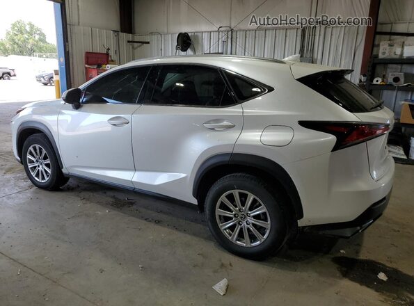 JTJDARBZ6M5022685 2021 LEXUS NX Белый Задняя левая четверть