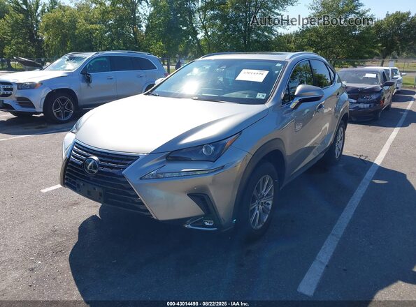 JTJDARDZ1M5030528 2021 LEXUS NX 300 Серый Передняя левая четверть