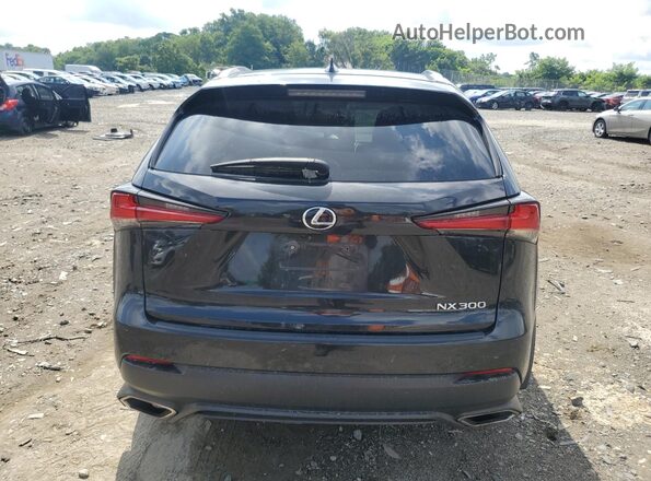 JTJGARDZ6L5014269 2020 LEXUS NX Charcoal Հետևի տեսք