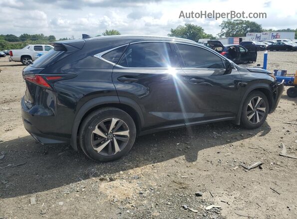 JTJGARDZ6L5014269 2020 LEXUS NX Charcoal Հետևի աջ