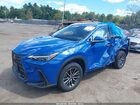 2024 Lexus Nx 350h Premium Blue vin: JTJGKCEZ3R5016031 2024 Lexus Nx 350h Premium Blue vin: JTJGKCEZ3R5016031