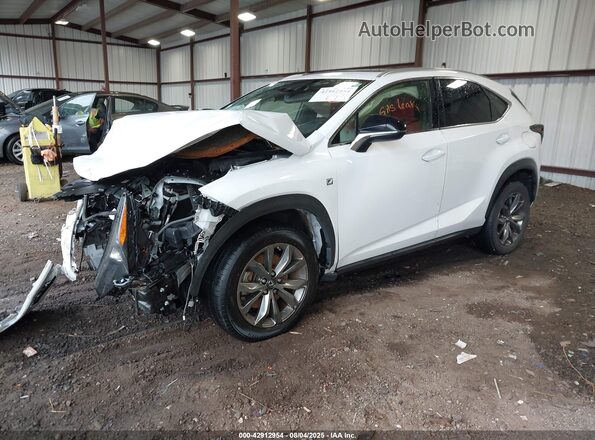 JTJSARBZ1M2191277 2021 LEXUS NX 300 White Առջևի ձախ երեք քառորդ տեսարան