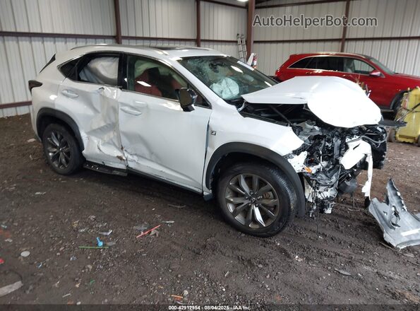 JTJSARBZ1M2191277 2021 LEXUS NX 300 White Առջևի աջ