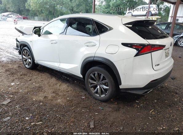 JTJSARBZ1M2191277 2021 LEXUS NX 300 White Հետևի ձախ