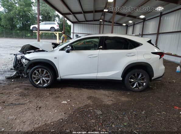 JTJSARBZ1M2191277 2021 LEXUS NX 300 White Սալոնի 360 աստիճան տեսք