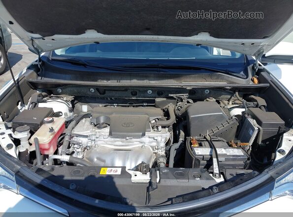 JTMWFREV0JJ165494 2018 TOYOTA LE Белый Вид сзади