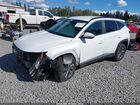 2023 Hyundai Tucson Hybrid Blue White vin: KM8JBCA1XPU113640 2023 Hyundai Tucson Hybrid Blue White vin: KM8JBCA1XPU113640