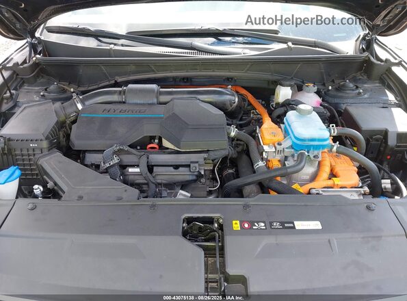 KM8JFDA29PU120890 2023 HYUNDAI TUCSON PLUG-IN HYBRID Blue Widok z tyłu