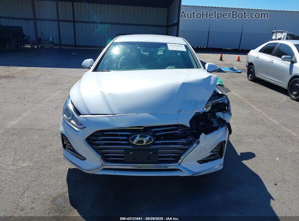 KMHE24L32KA088846 2019 HYUNDAI SONATA HYBRID Белый Вид задней части салона