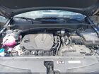 2025 Kia Sportage Lx Черный vin: KNDPUCDF7S7336659