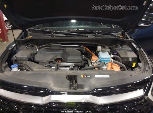 KNDPZDAH1P7097520 2023 KIA SPORTAGE PLUG-IN HYBRID Синий Вид сзади