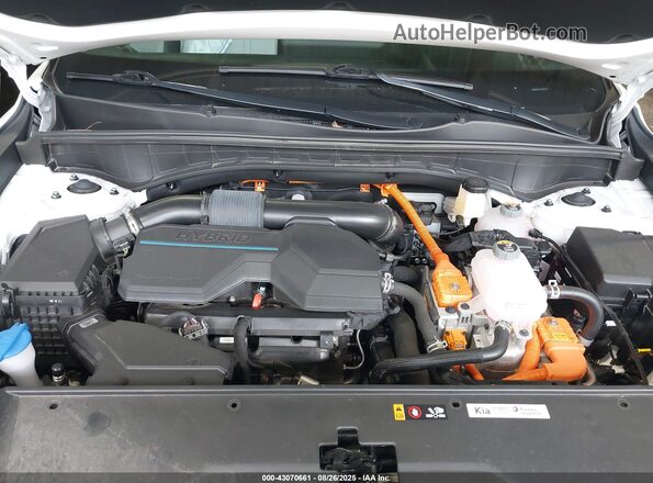 KNDRKDLG1P5145322 2023 KIA SORENTO HYBRID White Вид ззаду