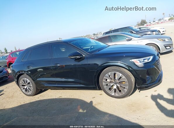 WA15AAGE4RB044864 2024 AUDI Q8 E-TRON Черный Панорамный вид салона 360°