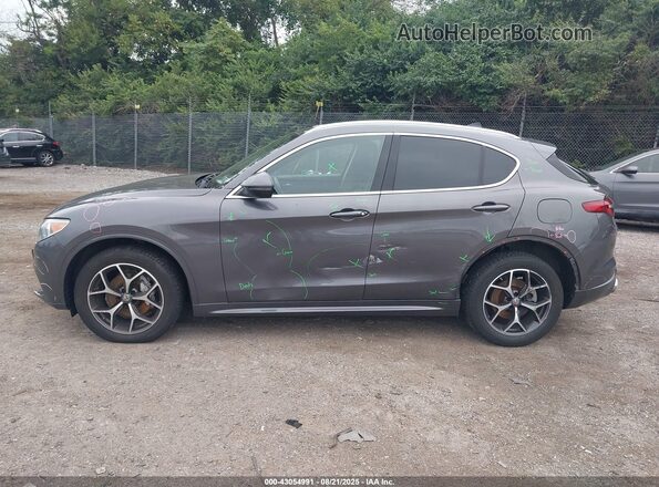 ZASPAKBN4L7C90410 2020 ALFA ROMEO STELVIO Серый 