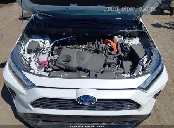 2T3T6RFV0RW057181 2024 TOYOTA RAV4 HYBRID White Widok z tyłu