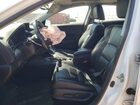 2017 Acura Ilx Premium Белый vin: 19UDE2F74HA004045
